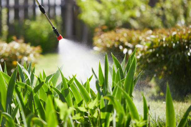 Tamper-Resistant Bait Stations for Rodents in Whitemarsh Island