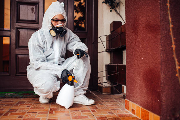 Attic and Crawl Space Rodent Treatment in Whitemarsh Island