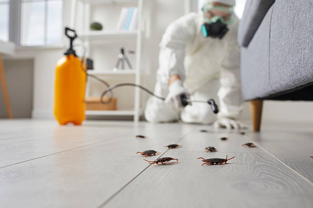 Commercial Rodent Management in Whitemarsh Island